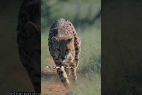 The first episode of our new series #FerrariUnpacked is out soon. Stay tuned. #Ferrari