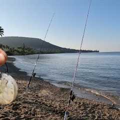 Cutbait Shrimp Fishing! | Hawaii Fishing Adventures!