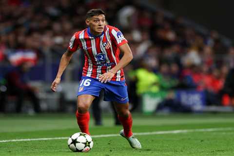 Inter Milan Target Molina and Dream of Palestra Signing