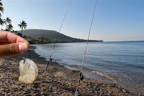 Cutbait Shrimp Fishing! | Hawaii Fishing Adventures!